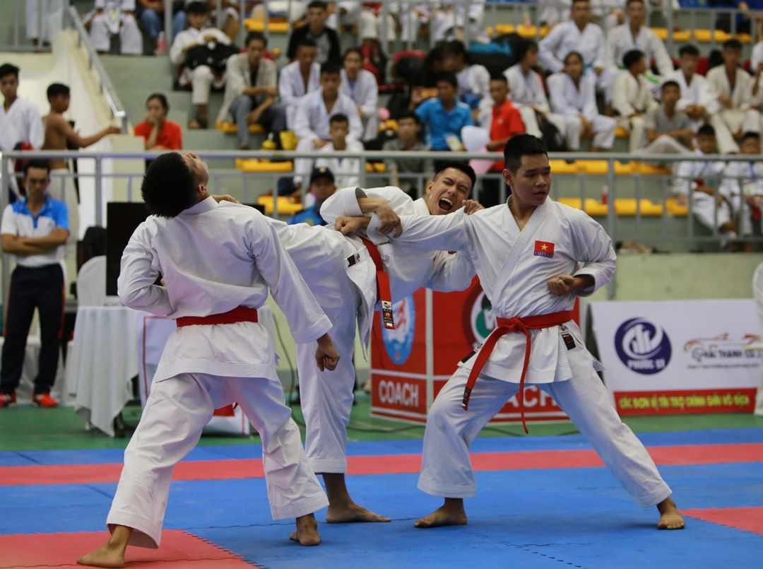 Nguồn gốc Karate tại Việt Nam
