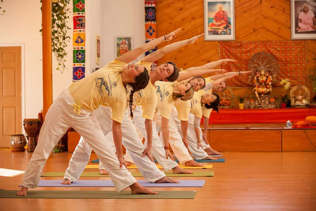 Loại hình Sivananda Yoga có phù hợp với bạn?